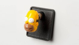 sr_homer_head.jpg