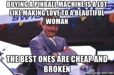 buying-a-pinball-machine-is-a-lot-like-making-love-to-a-beautiful-woman-the-best-ones-are-che...jpeg