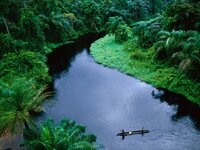 images.nationalgeographic.com_wpf_media_live_photos_000_029_cache_congo_2936_600x450.jpg