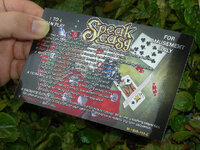 Speak%20Easy%20Custom%20Pinball%20Card%20%20Rules%20print2.jpg