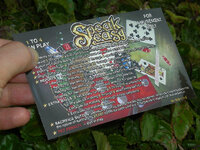 Speak%20Easy%20Custom%20Pinball%20Card%20%20Rules%20print3.jpg