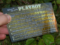 Playboy%2035th%20Anniversary%20Custom%20Pinball%20Card%20Rules%20print3.jpg