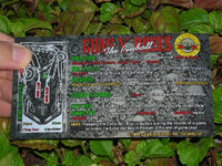 Guns%20and%20Roses%20Custom%20Pinball%20Card%20Rules%20print1c.jpg