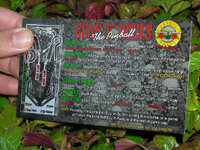 Guns%20and%20Roses%20Custom%20Pinball%20Card%20Rules%20print2c.jpg