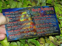 Iron%20Maiden%20Legacy%20of%20the%20Beast%20Pinball%20Card%20Customized%20Rules%20print3c.jpg