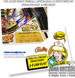 Dr-Dude-Right-Pinball-Apron-Restored-Mikonos1.jpg