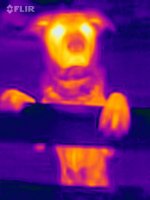 FLIR_20240105_082145_634.jpg