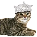 tinfoilhatday-4.webp