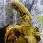 alien-banana-hr-giger.jpg