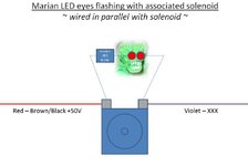 AFM eyes simple diagram.JPG