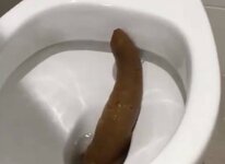 Turd-.jpg